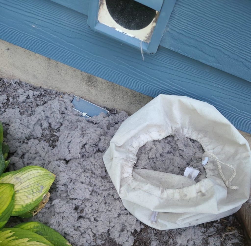 exterior dryer vent cleaning